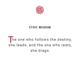 Stoic, wisdom, quote, destiny