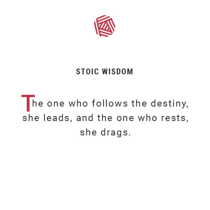 Stoic, wisdom, quote, destiny